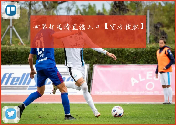 世界杯高清直播入口【官方授权】