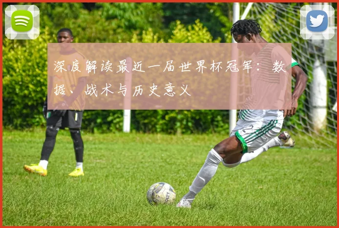 深度解读最近一届世界杯冠军：数据、战术与历史意义