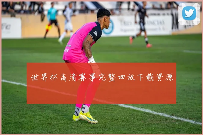 世界杯高清赛事完整回放下载资源