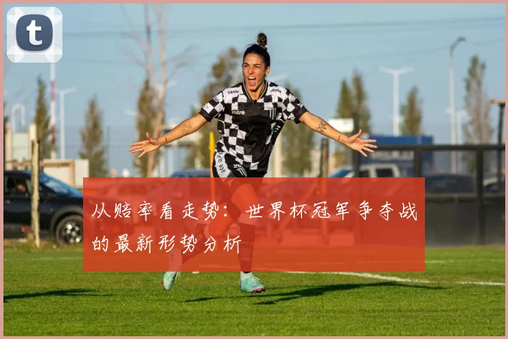 从赔率看走势:世界杯冠军争夺战的最新形势分析