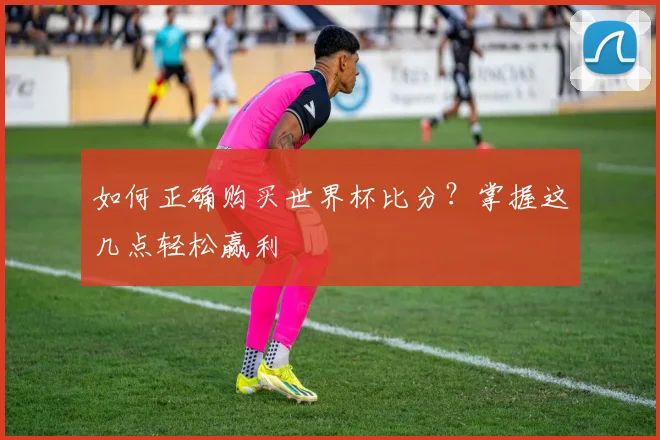 如何正确购买世界杯比分?掌握这几点轻松赢利