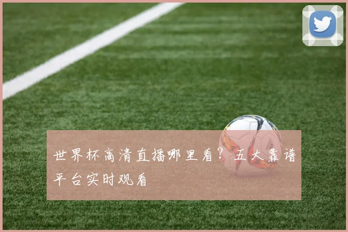 世界杯高清直播哪里看？五大靠谱平台实时观看