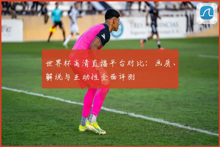 世界杯高清直播平台对比：画质、解说与互动性全面评测