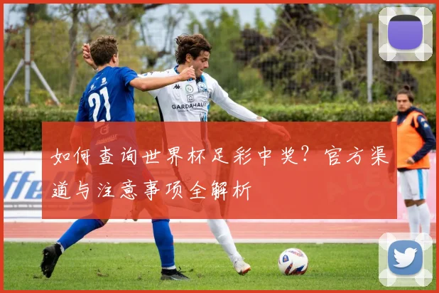 如何查询世界杯足彩中奖?官方渠道与注意事项全解析