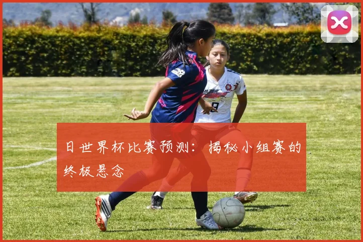日世界杯比赛预测:揭秘小组赛的终极悬念