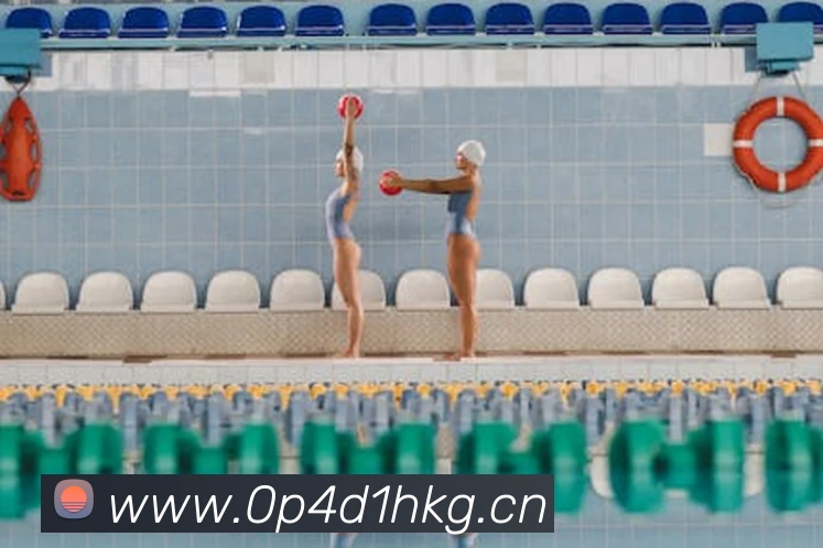 多媒体互动体验